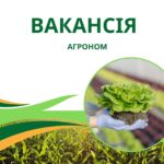 ПСП «Червоний маяк» та ТОВ «Куковицьке» шукають агрономів