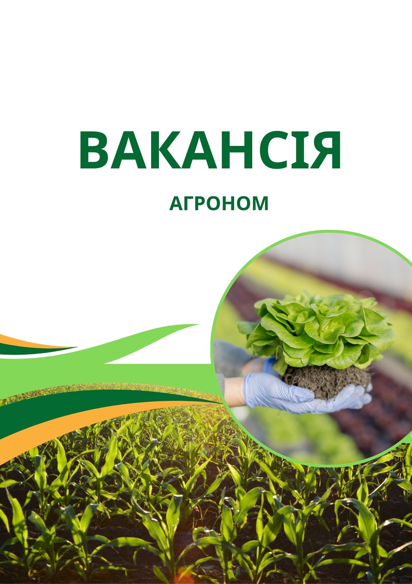 Вакансія агроном