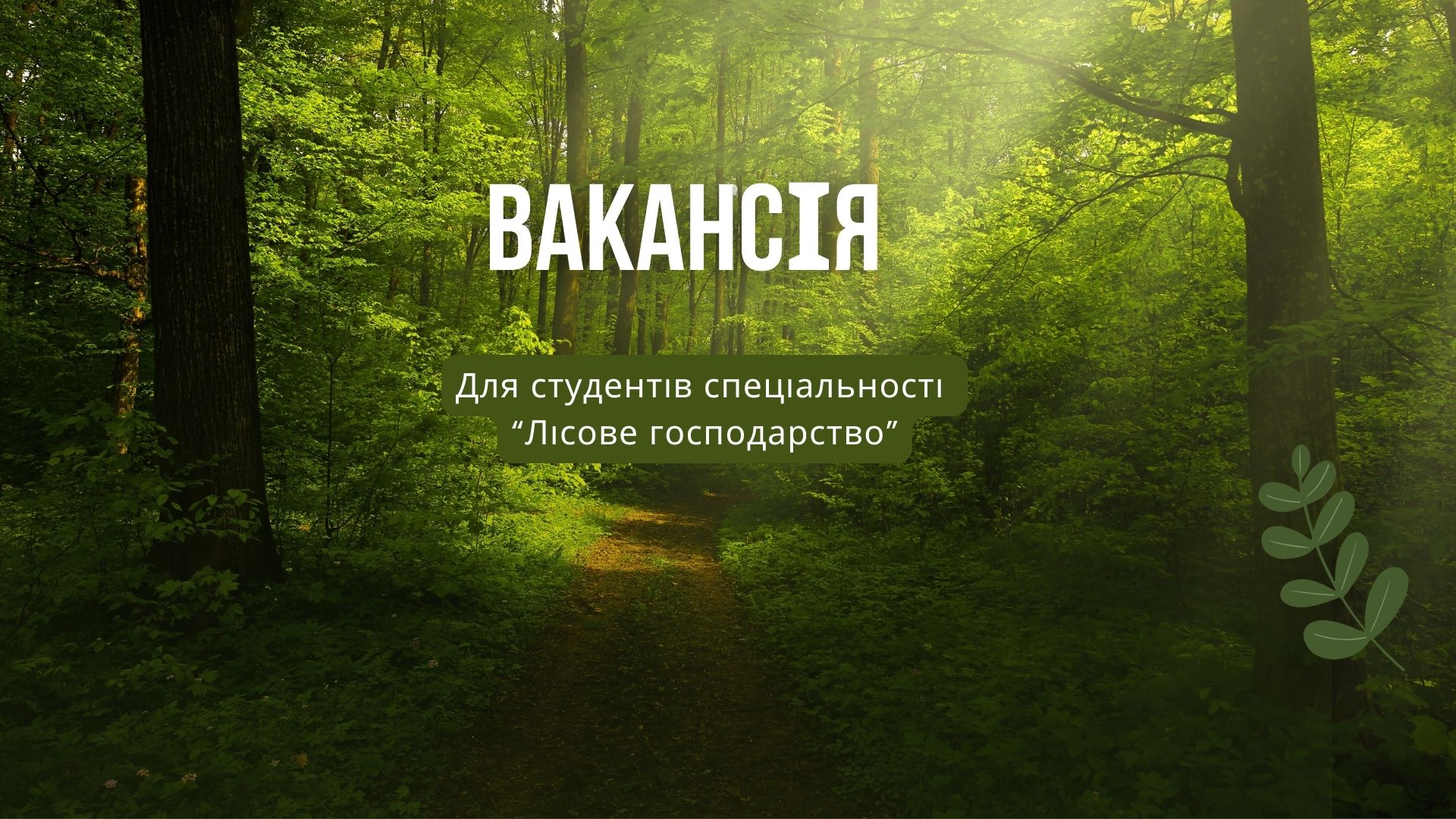 Вакансії ліс
