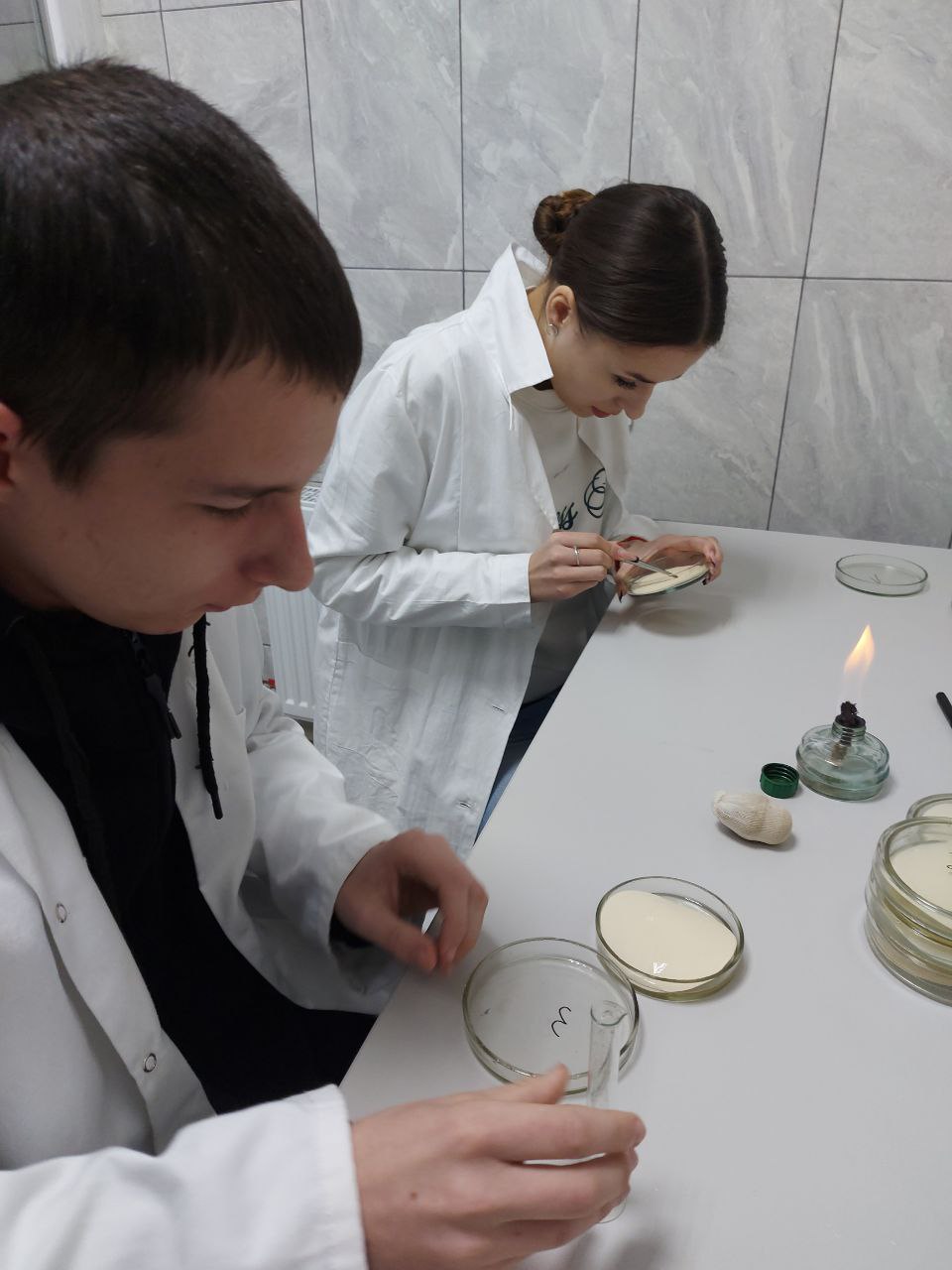 Дослідження мікробіоти ґрунту ЗВО спеціальності “Агрономія” в новій лабораторії мікробіології та фітопатології