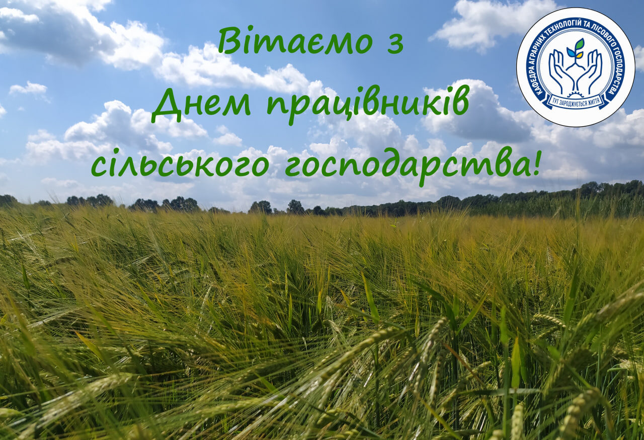 photo_2025-11-20_09-37-30