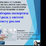 Гостьова лекція на тему «Фітосанітарна експертиза та її роль в системі захисту рослин»