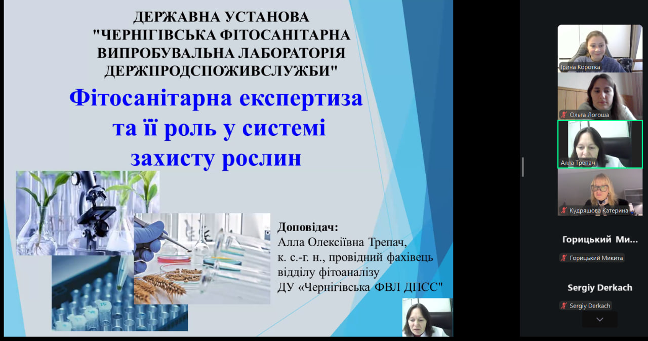 photo_2025-12-24_11-11-19