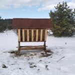 На ННД «Деснянка» встановлено підгодівельний майданчик для підтримки диких тварин у зимовий період